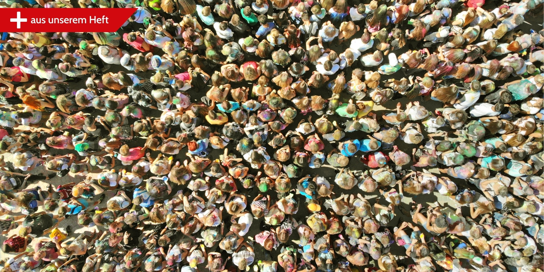 Foto: Dmytro -stock.adobe.com