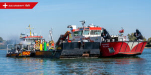 Übungslage auf dem Rhein: Schiffskollision mit Personenschaden und Brandeinsatz (Quelle: Presse- und Medienteam der Feuerwehr Frankenthal)